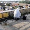 Asbestos Removal done right!