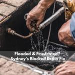 Flooded & Frustrated? Sydney's Blocked Drain Fix
