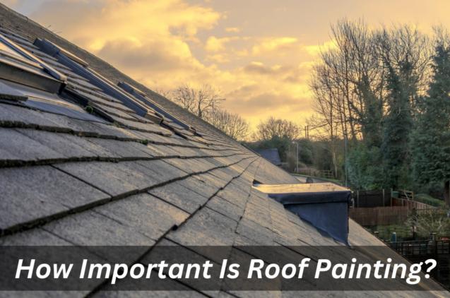 How Important Is Professional Roof Painting?