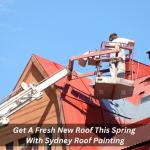 Get A Fresh New Roof This Spring With Sydney Roof Painting