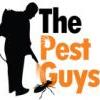 The Pest Guys
