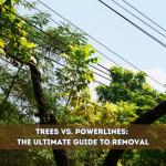 Read Article: Trees vs. Powerlines: The Ultimate Guide to Removal