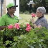 Gardens Rose for Customer