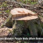 7 Dangerous Mistakes People Make When Removing Trees