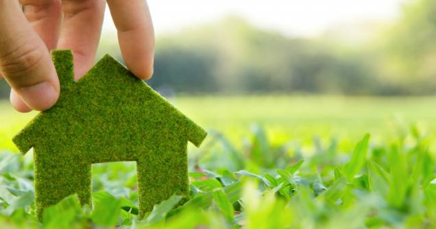 6 Ways to Create an Eco-Friendly House This Summer