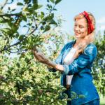 Read Article: Cultivating Compact Fruit Trees: A Guide for Small Australian Gardens