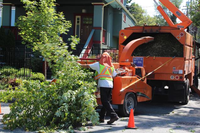 Read Article: The Indispensable Tools for a Successful Tree Removal Process