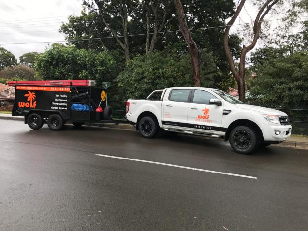 Tree Removal Services in Eastern Suburbs
